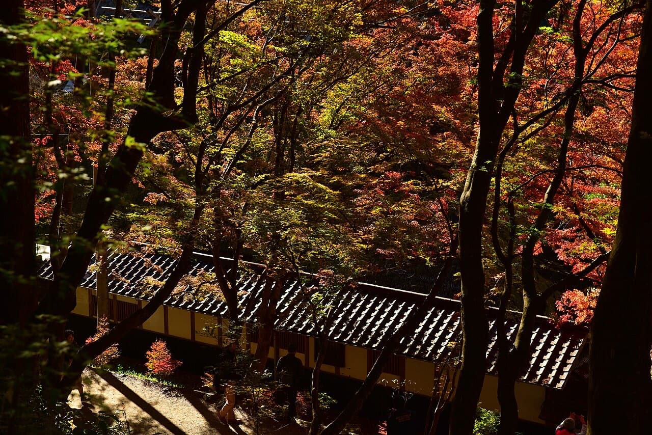 Autumn colour at Korankei Gorge, Aichi.